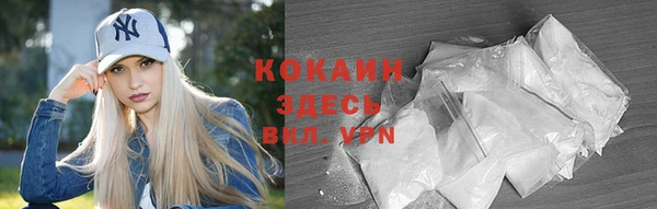 индика Дмитров