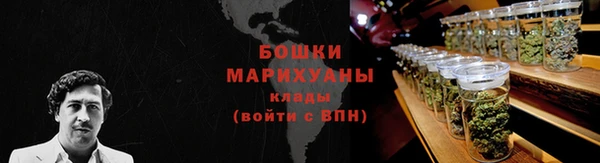 индика Дмитров