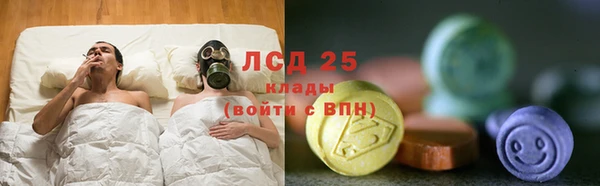 индика Дмитров