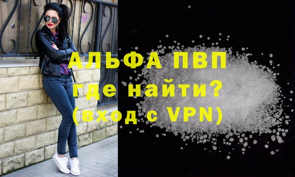 индика Дмитров