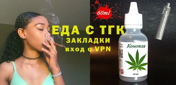 spice Дмитриев