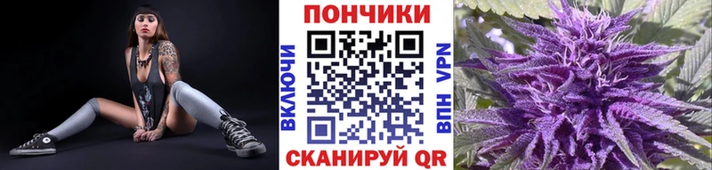 кракен   Артём  Шишки марихуана семена 